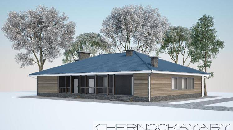 Необычный проект одноэтажного дома с просторной террасой